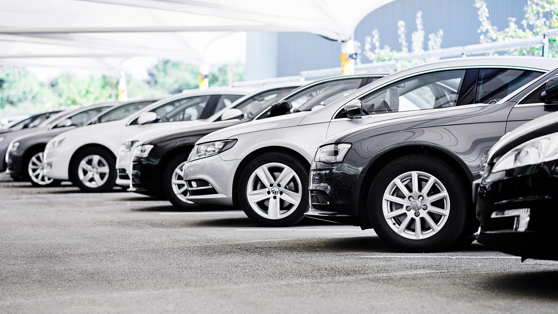 A fleet of silver, black and white cars lined up in a showroom, ready to be hired or leased