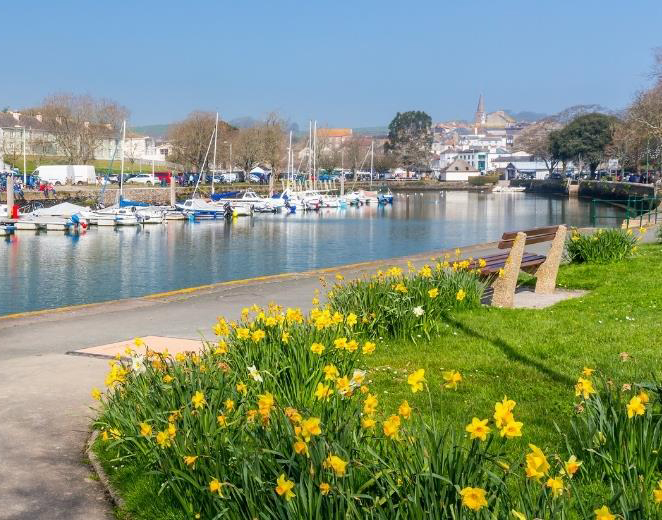 Landscape shot of a river with boats, park bench, green grass and yellow flowers on a sunny day