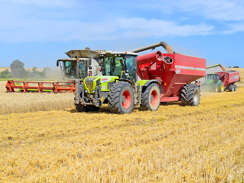 Overloading grain harvester and tractor trailer tank in a field