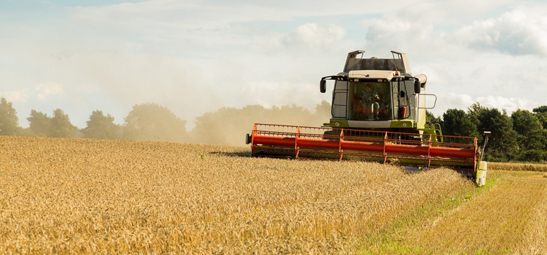 Plant machinery in field overloading grain 